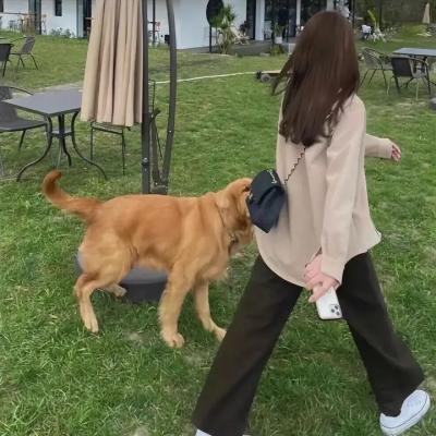 妙探肥羊